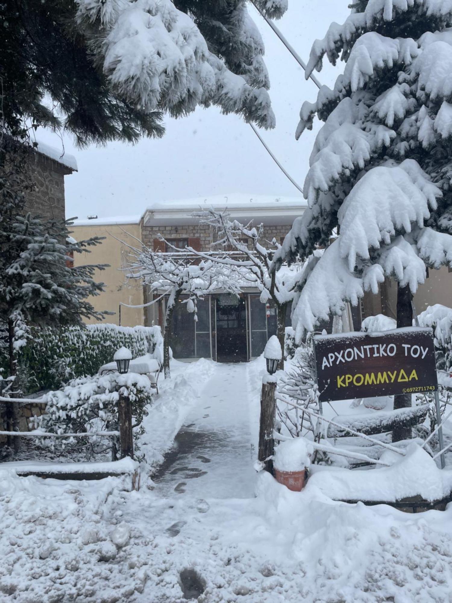 Archontiko Tou Krommyda Eláti Exterior foto